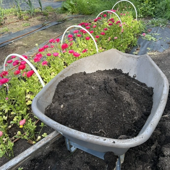 Soil developer in wheel barrow