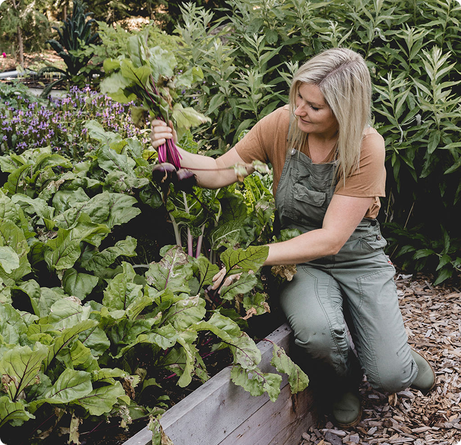 Gardening Projects
