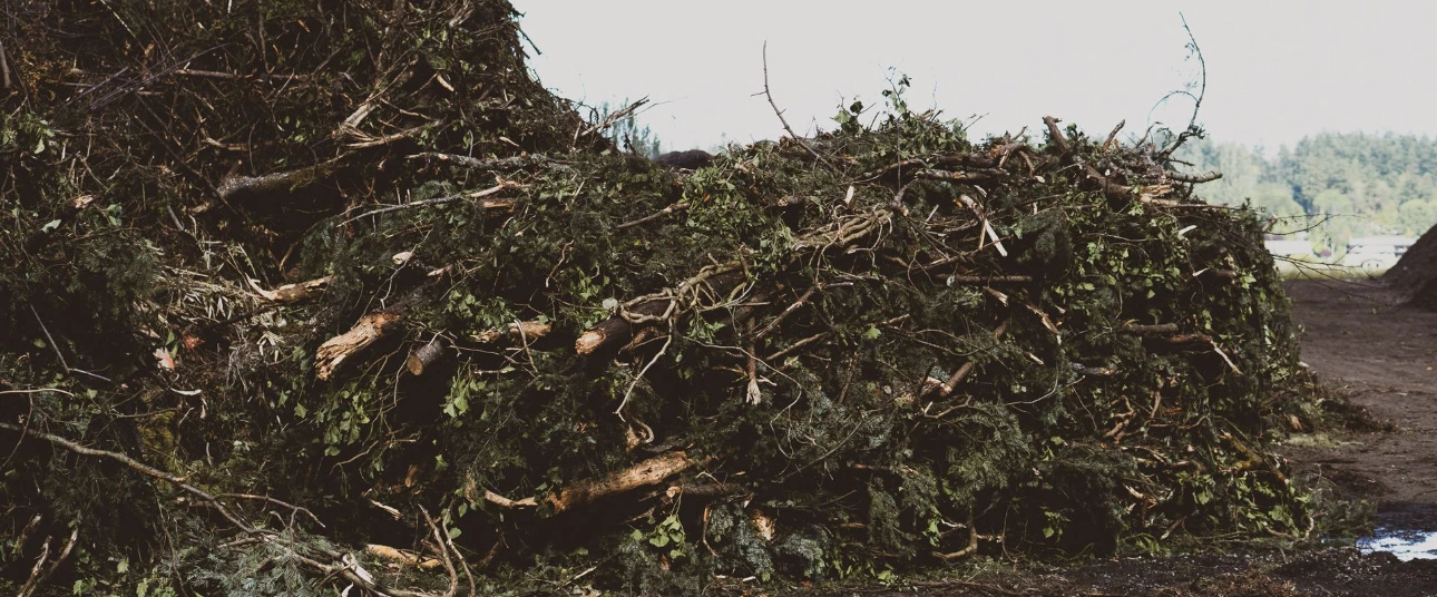 Large pile of organic garden waste and tree branches ready for composting at the farm.