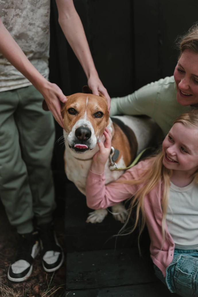 dog being pet by family
